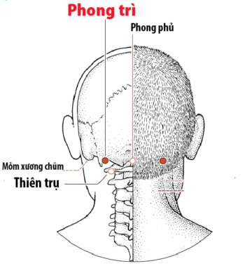 Huyệt Phong trì